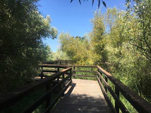 Nature Trail at Anderson Marsh