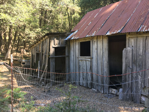 Mary Downen homestead cabin
